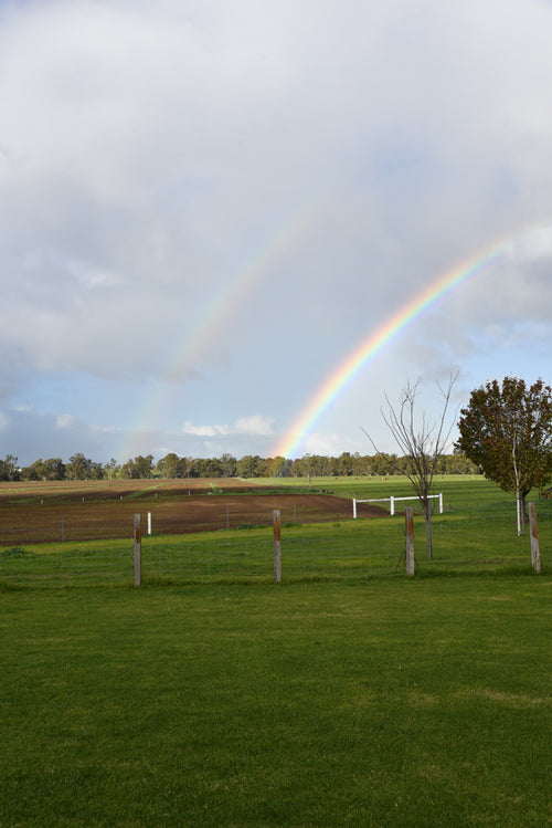 A stunning farm afternoon